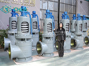 �ڲ���������Ϊ��Ϊ�����ȵ���Ŀ����һ�����¸�ѹ��ȫ��Delivered a Batch of Safety Valves for China Huaneng Thermal Power Project